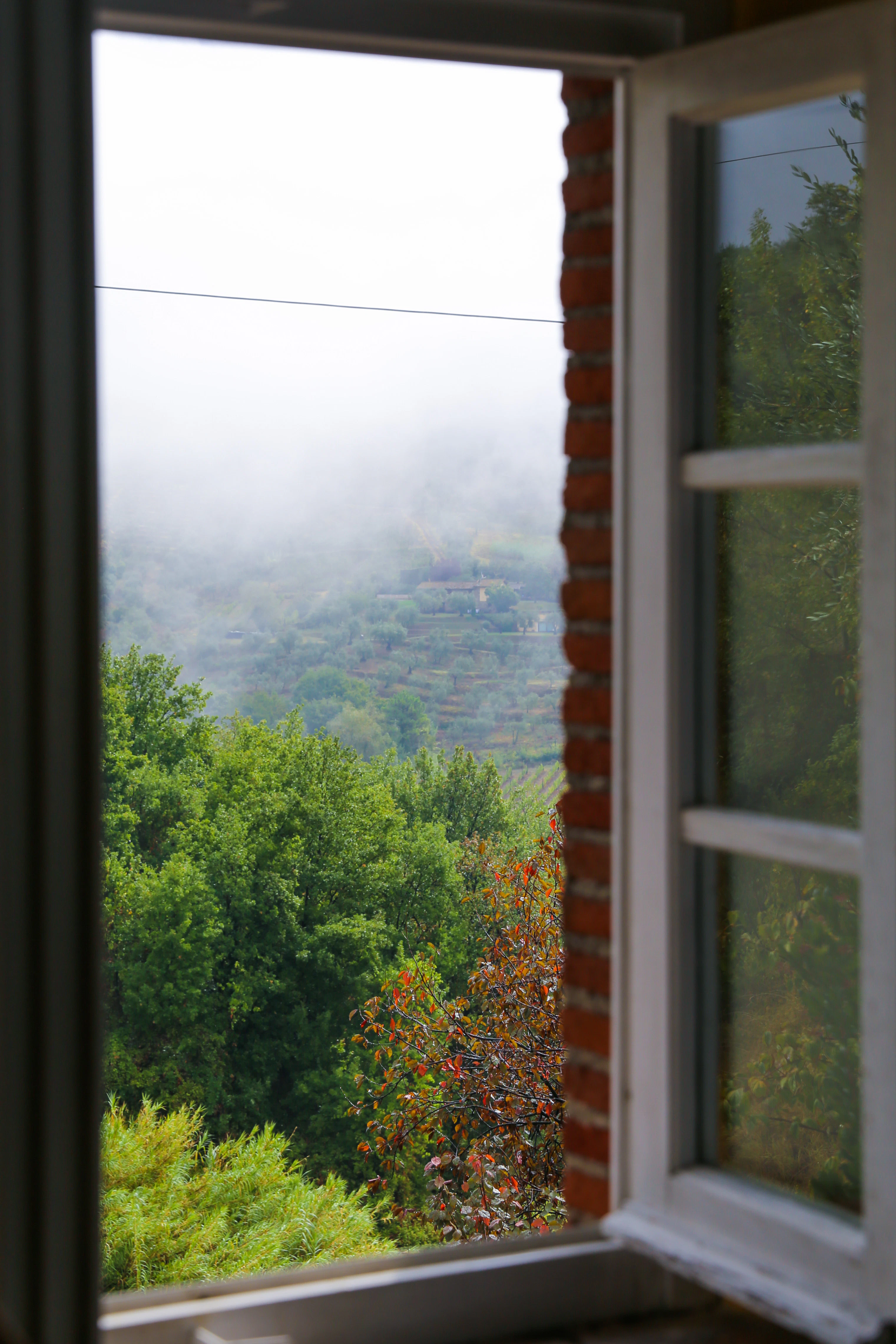 Foggy landscape through an open window.