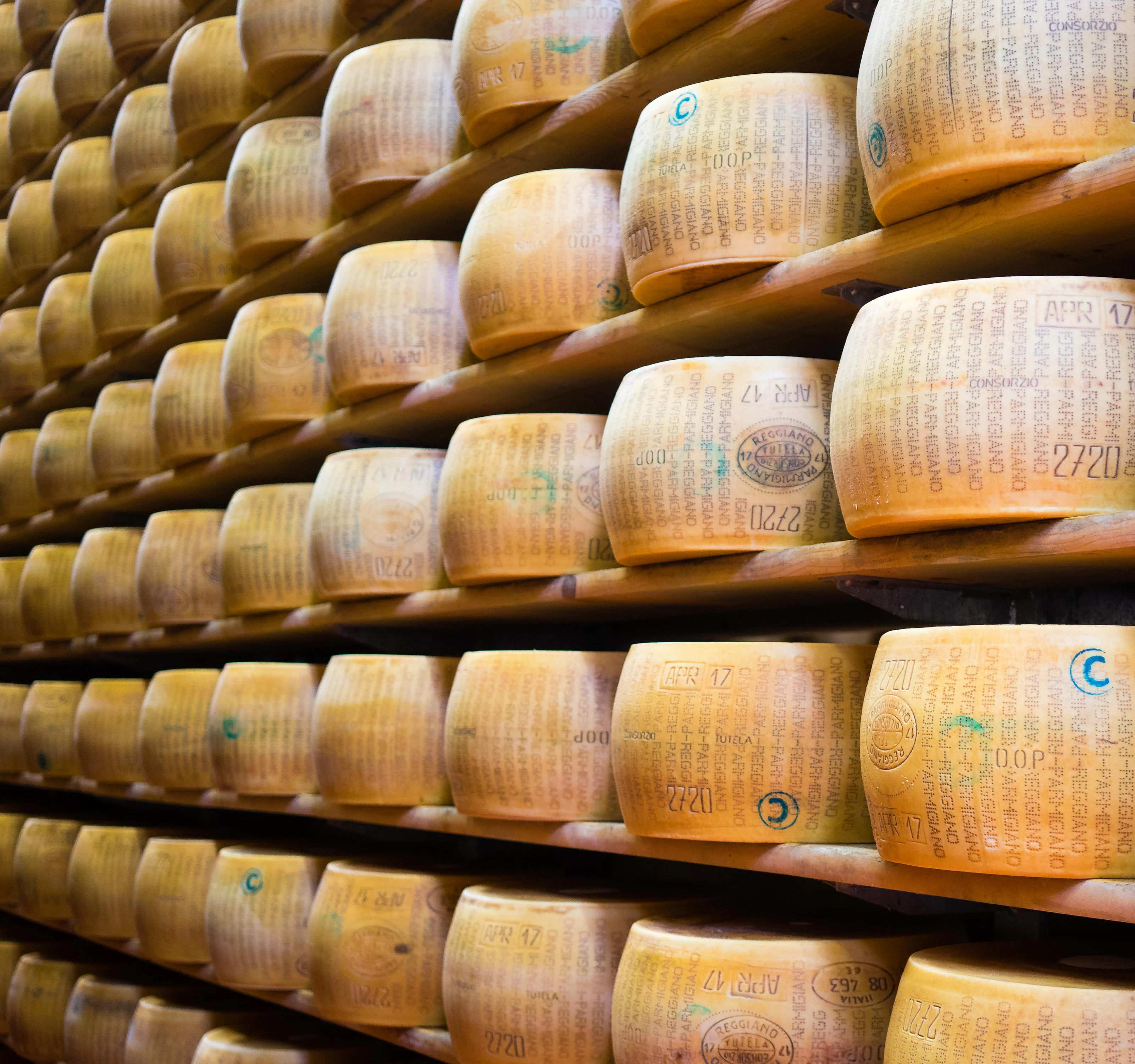 Rows of parmesan wheels on wooden shelves.