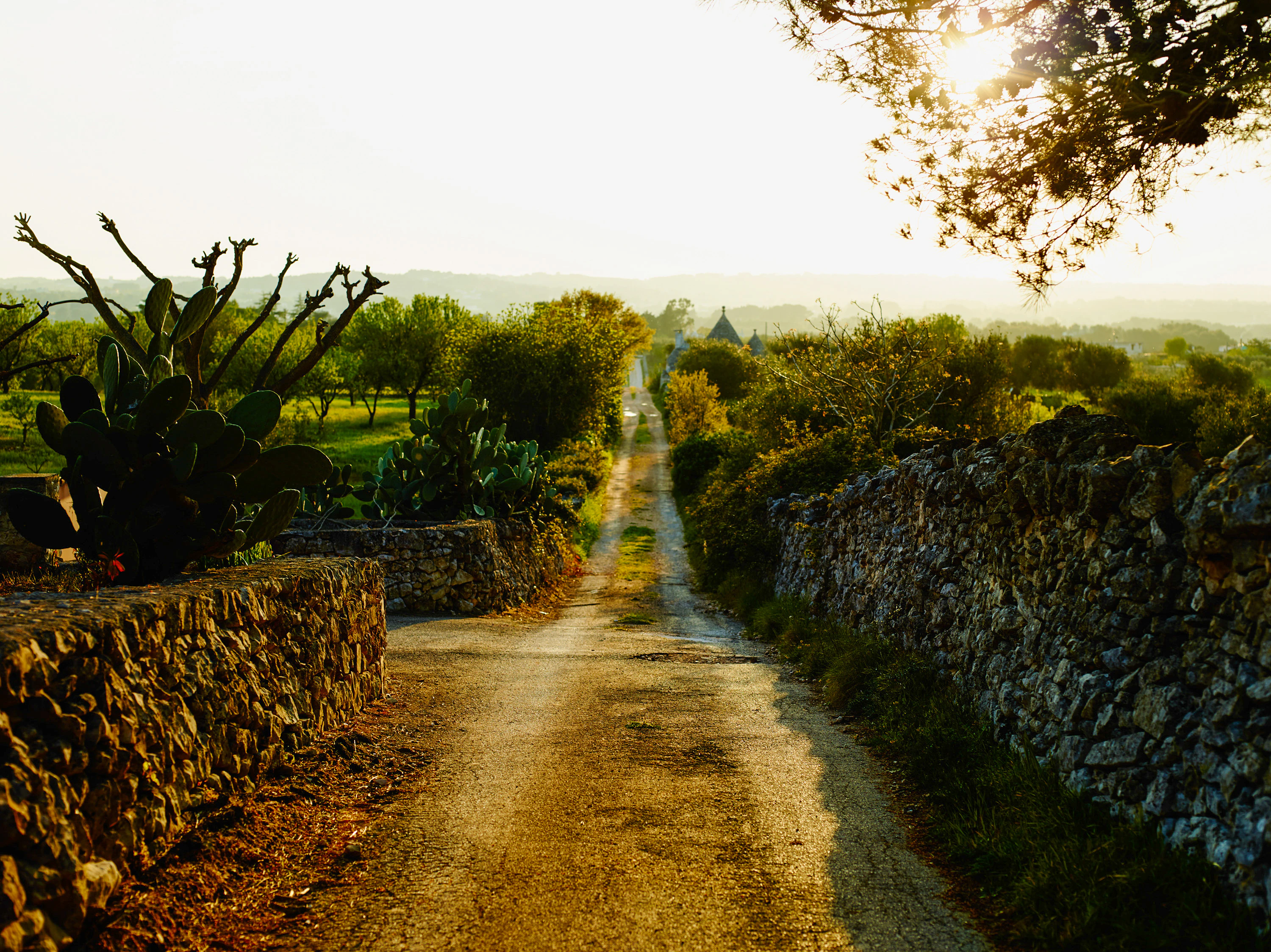 A long, narrow lane in Puglia | Crosta & Mollica