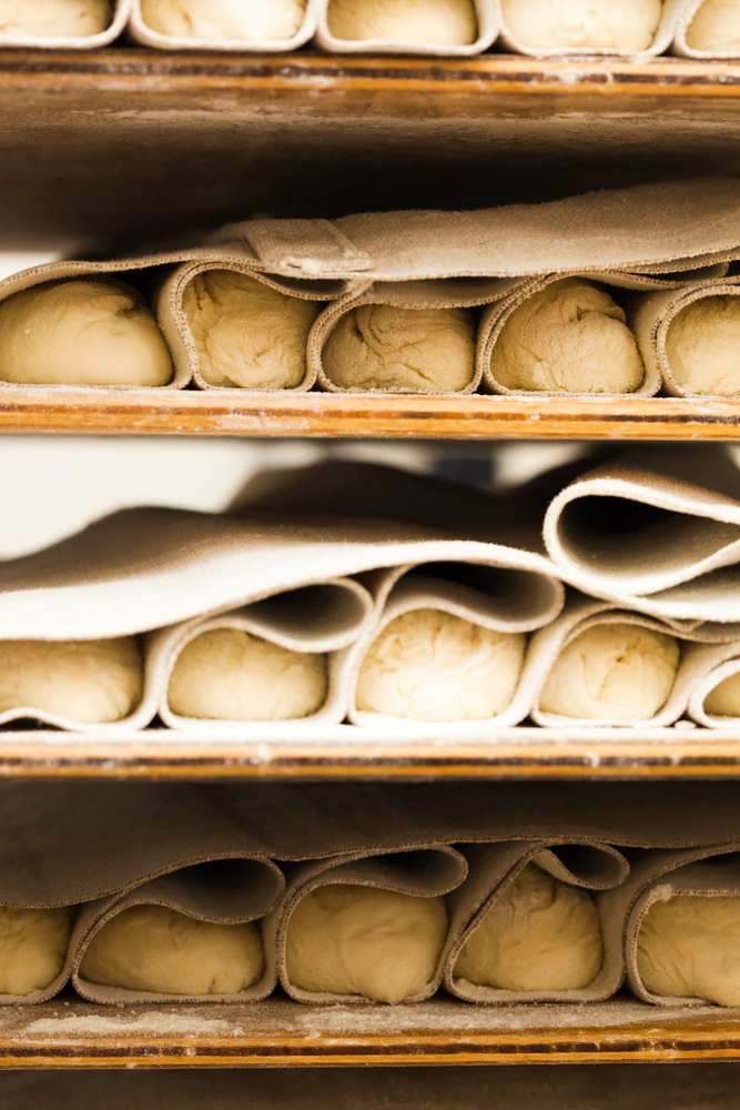 Loaves of brad prove on a shelf.