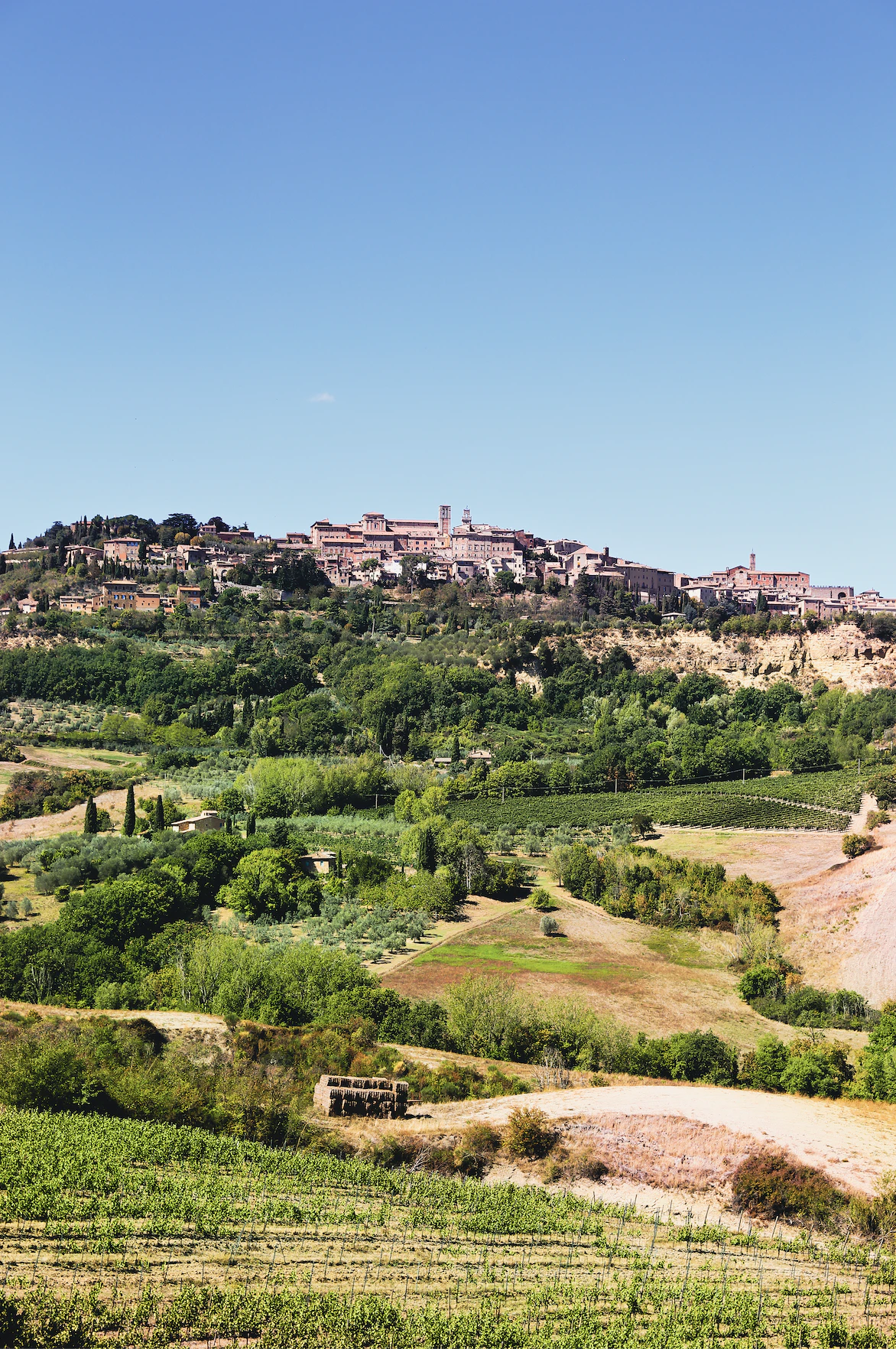 Italian rural landscape.