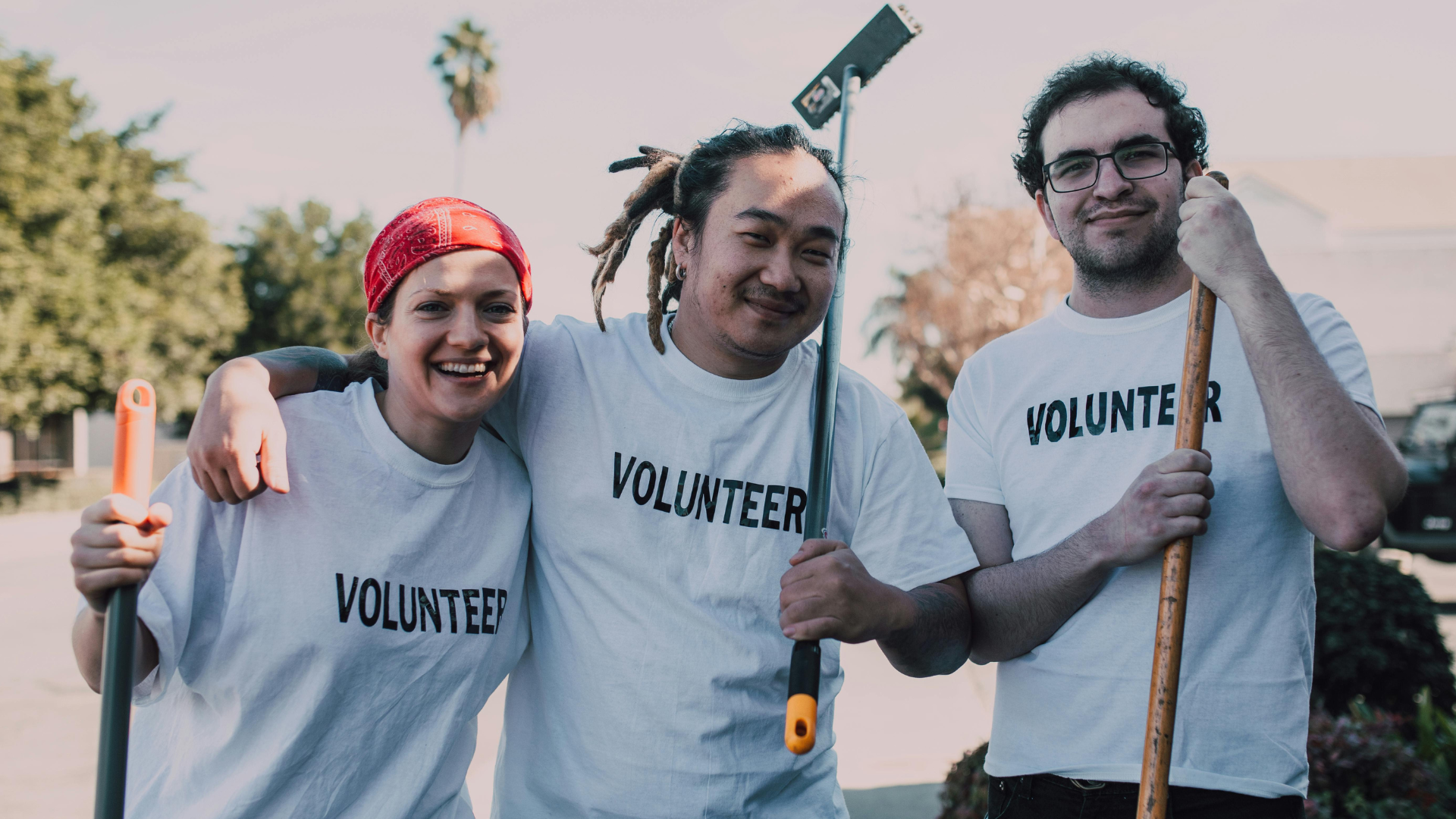 Volunteers 