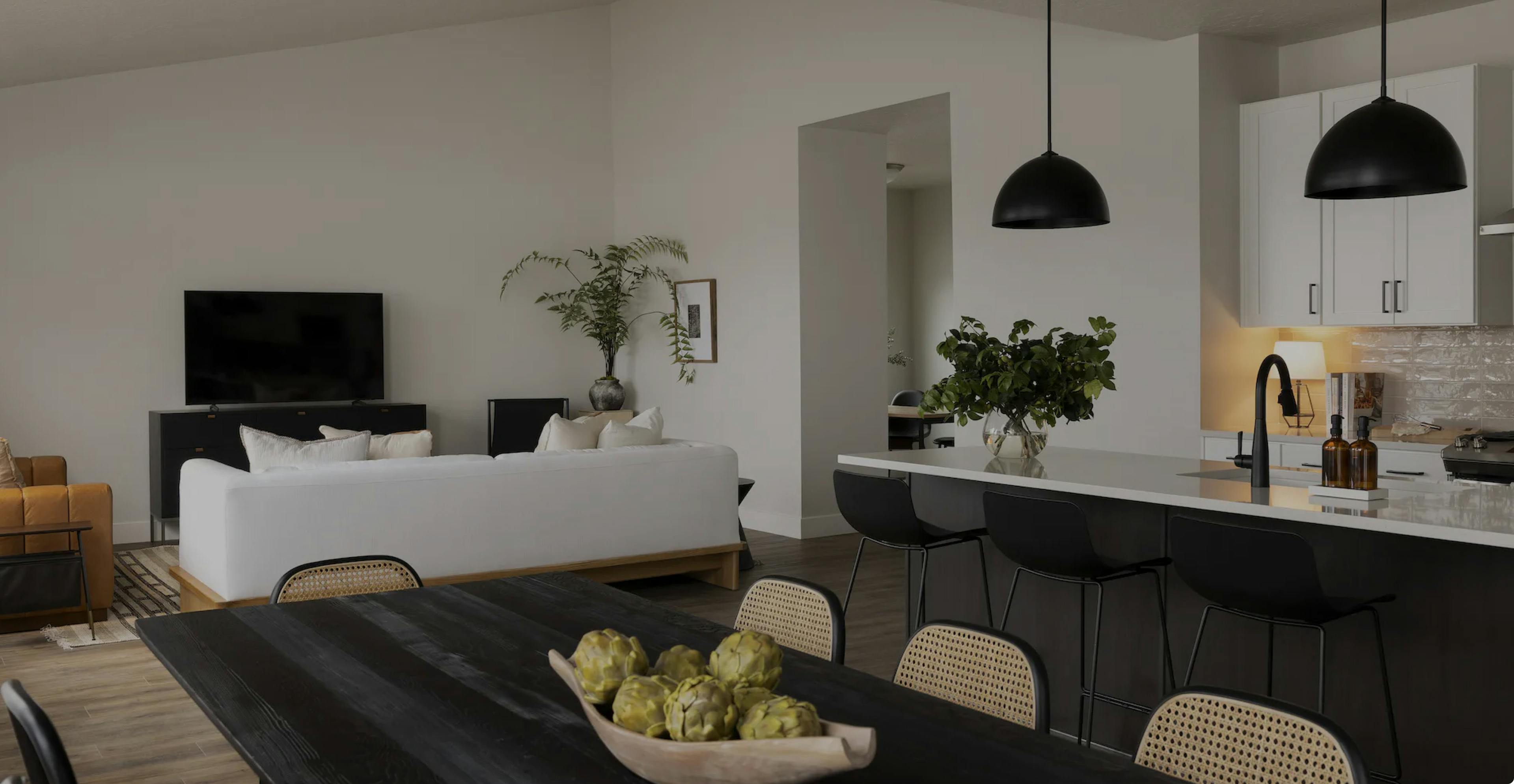 Image of an apartment with an open concept kitchen, dining room and living area.