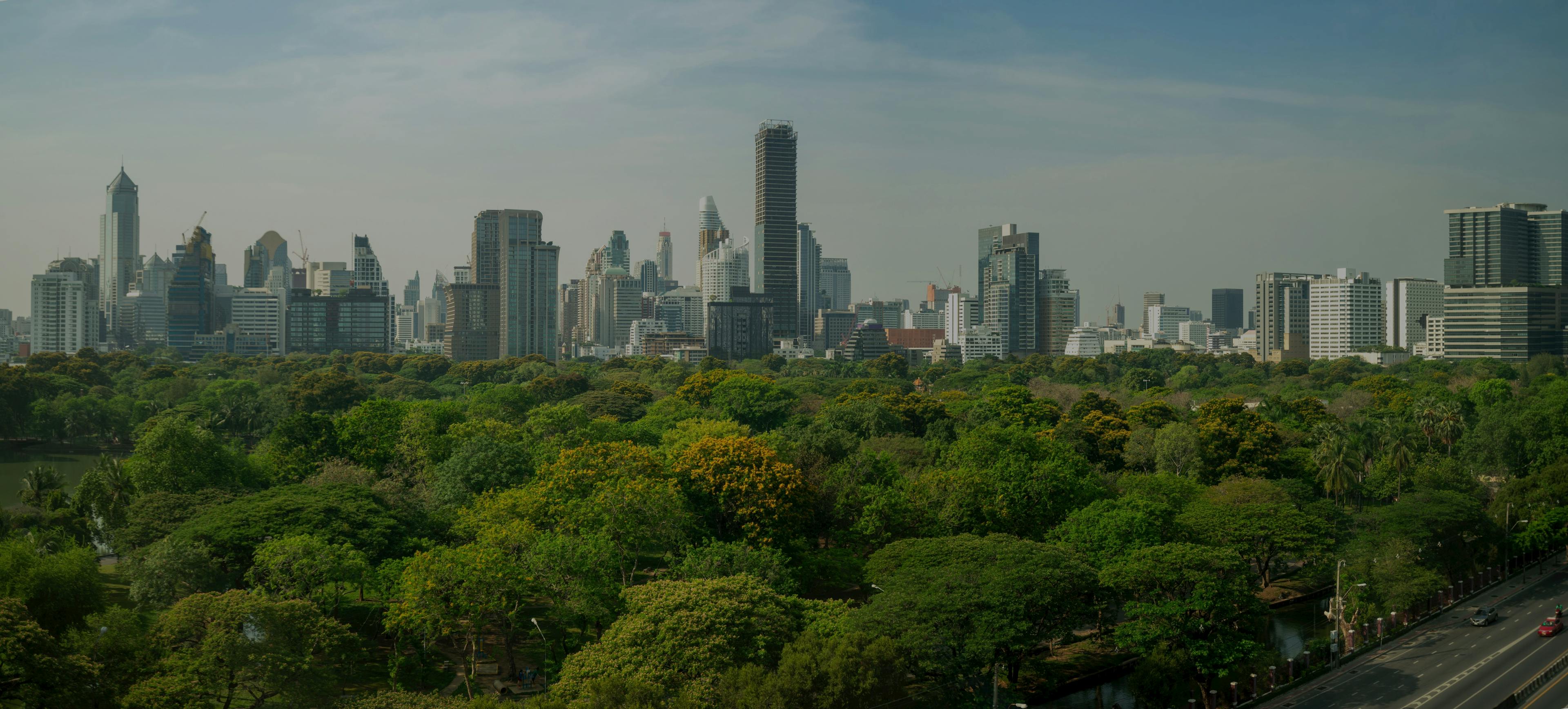 Image of a city skyline in the background, trees in a park in the forefront